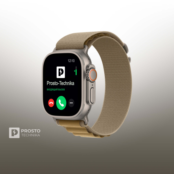 Часы Apple Watch Ultra 2, 49 мм, титан светлого цвета, ремешок Alpine коричневого цвета (2024) L